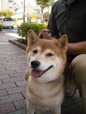 click on image to go back